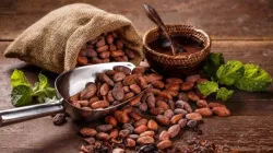 Chocolate peruano: la guía definitiva para los amantes del cacao